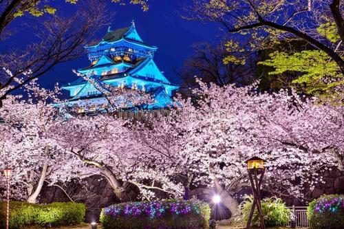 япония, замок, Осаки, сакура, сад, парк