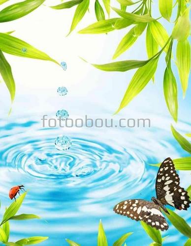 природа, вода, капля, мята, листья