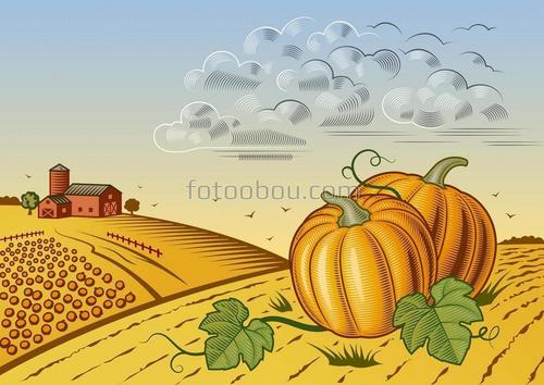 природа, тыква, поле, ферма, домик