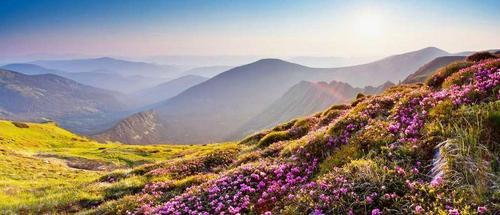 горы, трава, цветы, небо, дымка