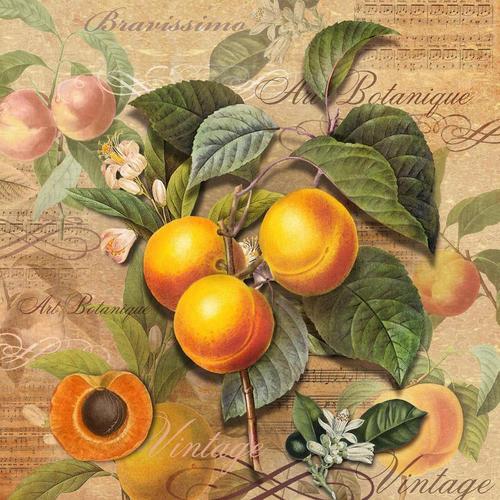 живопись, натюрморт, персики, ноты, музыка