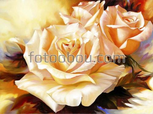 Розы ,белые розы ,букет роз ,цветок