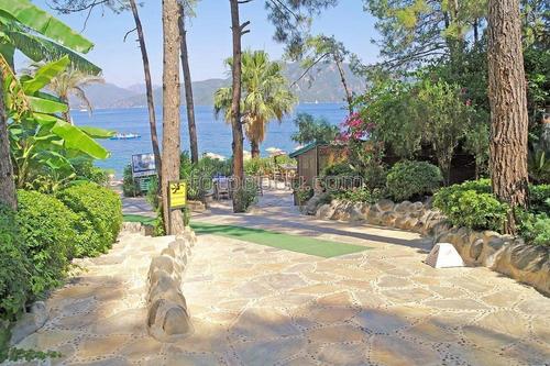 терраса, дорога, камни, море, пальмы, зеленый, голубой