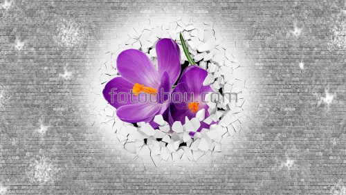 стена, кирпич, стена, цветы, фиолетовый