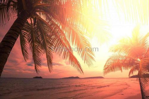 природа, закат, пальмы, море, пляж