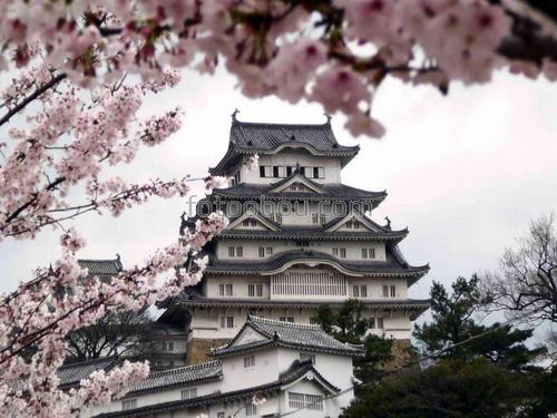 япония, сакура, замок, архитектура
