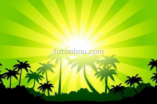тропики, пейзаж, солнце, лучи, природа