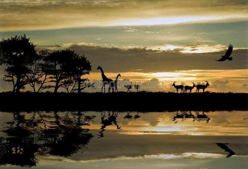 животные, сафари, природа, африка, закат