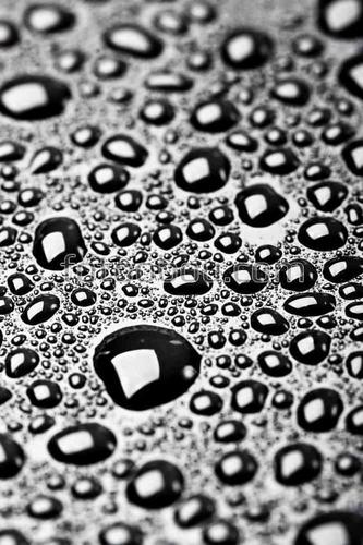 капли, вода, природа