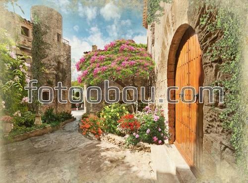 улица, дворик, цветы, старый город