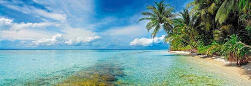океан, остров, пальмы, песок, небо, облака
