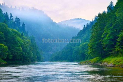 природа, туман, река, лес, горы