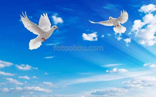 голубое небо ,белые голуби ,солнце ,лучи 