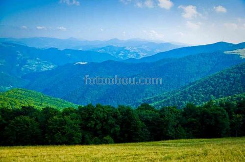 природа, поле, лес, горы, небо