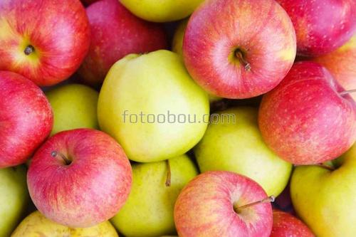 природа, яблоки, фрукты, урожай