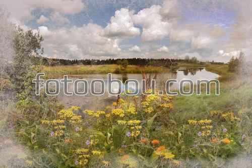 трава, цветы, река, лес, облака, природа