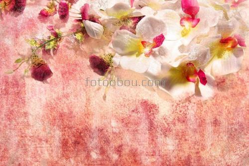 орхидеи, ветви, цветы, природа