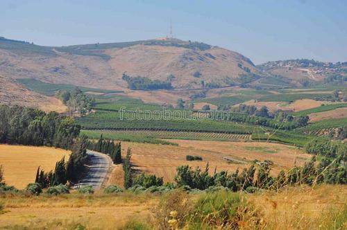 горы, поля, природа, дорога, израиль