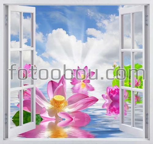 море, цветы, вид из окна, небо, облака