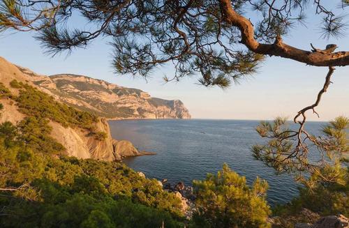 лес, море, горы, обрыв, ели