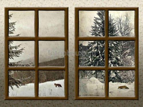 окно, лисы, животные, природа, зима