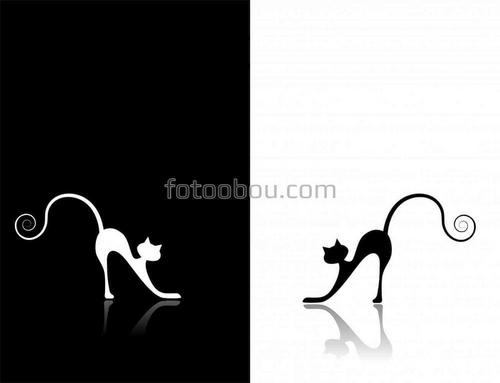 черное и белое, кошки, для детей, для мальчика, для девочки