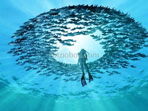 природа, море, рыбы, аквалангист