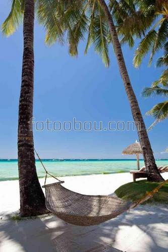 пляж, песок, море, пальмы, кокос, гамак