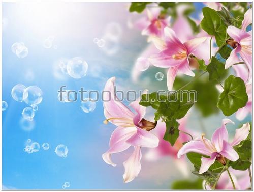 лилии, цветы, розовые, 3Д, пузырики