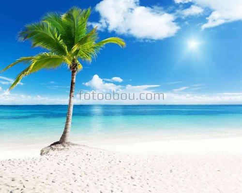 пальма, песок, пляж, океан, небо, облака