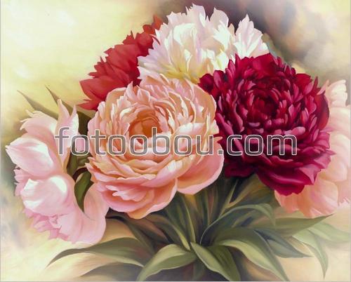 картина, цветы, пионы