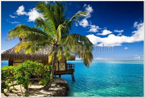 море, океан, бунгало, пальма, небо, облака