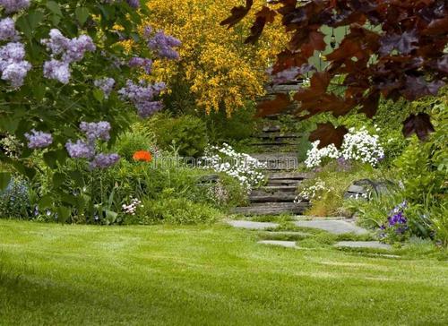 природа, сад, парк, ступени