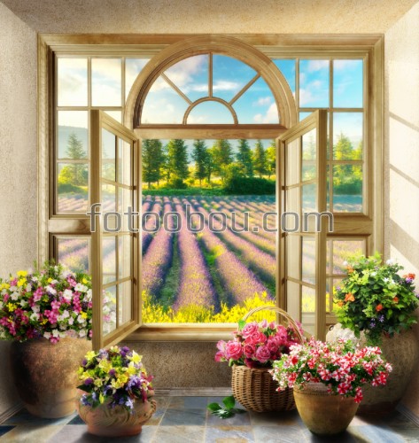 поле, лаванда, окно, цветы