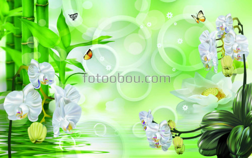 Орхидеи, бамбук, вода, кольца, бабочка, белый, зеленый