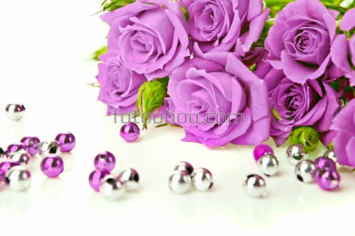 розы, букет, цветы, фиолетовый, бусинки